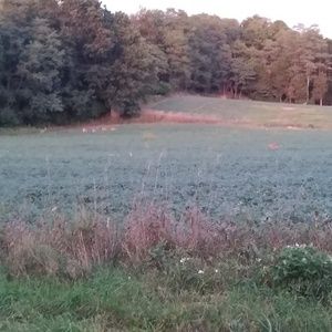 Meet your Posher, Merle